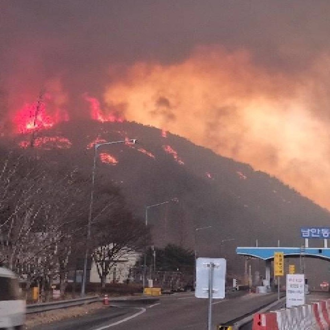 산불긴급구호 스토리.jpg